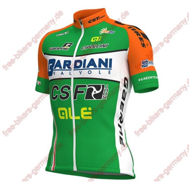 Radsport BARDIANI CSF 2018 Trikot Kurzarm Radsport BARDIANI CSF 2018 Trikot Kurzarm