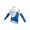 Fahrradbekleidung Radsport 2020 DECEUNINCK QUICK-STEP Trikot Kurzarm