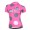2015 Nalini Siele Rose-Grau Damen Radtrikot Kurzarm CCWY430