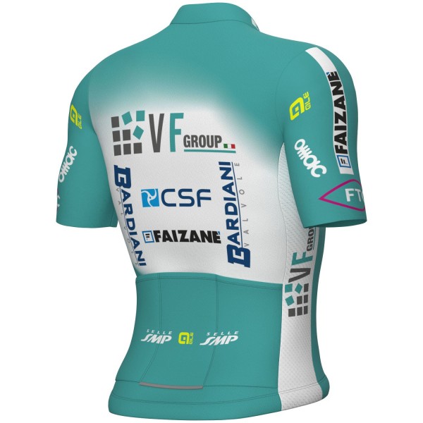 Bekleidung Herren Ale VF Group-Bardiani CSF-Faizane 2024 trikot