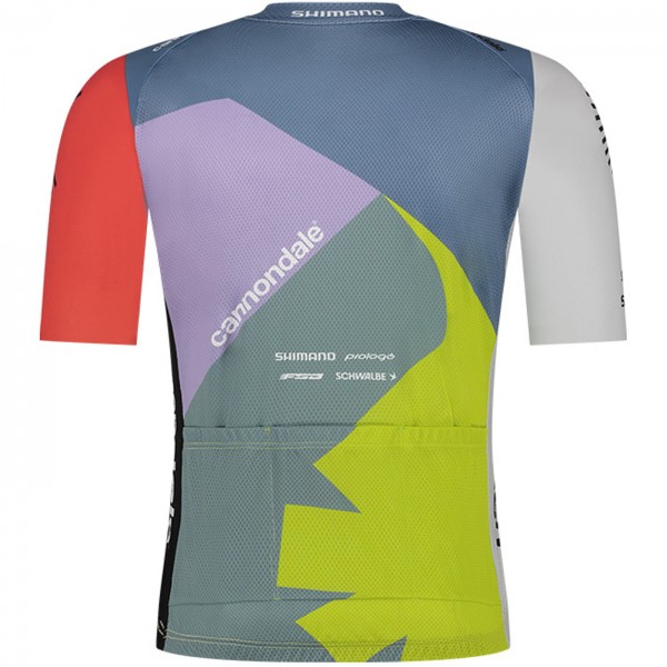 Bekleidung Herren Cannondale Factory Team 2024 Endurance Trikot