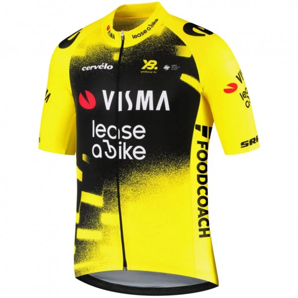 Bekleidung Herren Team Visma Lease a bike 2025 The Wingbeat trikot