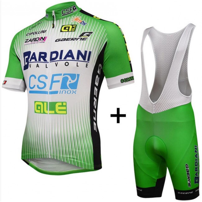 2016 Bardiani Csf Fahrradbekleidung Satz Fahrradtrikot Kurzarm Trikot und Kurz Trägerhose PFRI858 2016 Bardiani Csf Fahrradbekleidung Satz Fahrradtrikot Kurzarm Trikot und Kurz Trägerhose PFRI858