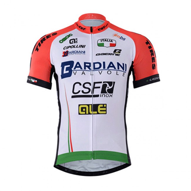 2017 BARDIANI CSF Radtrikot Kurzarm 911BINN 2017 BARDIANI CSF Radtrikot Kurzarm 911BINN